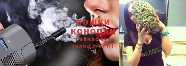 спайс Каменка