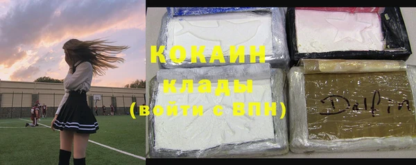 спайс Каменка