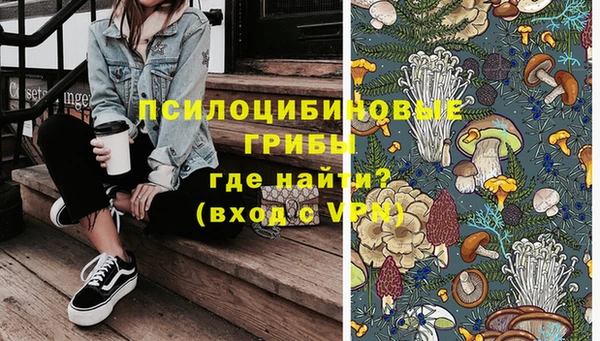 спайс Каменка