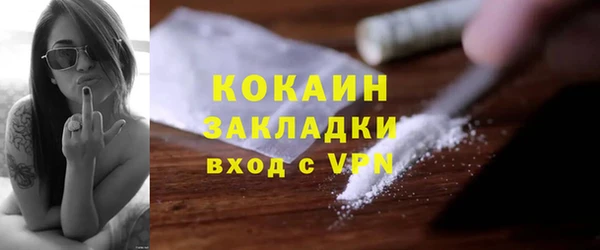спайс Каменка