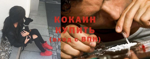 спайс Каменка
